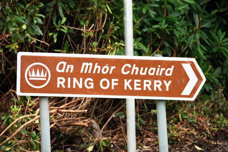 Follow the official trail – Plan your self-drive route or premium guided Ring of Kerry tour for 2026 An official brown tourist road sign reading An Mhór Chuaird and Ring of Kerry in white lettering against a lush green forest backdrop along the driving loop